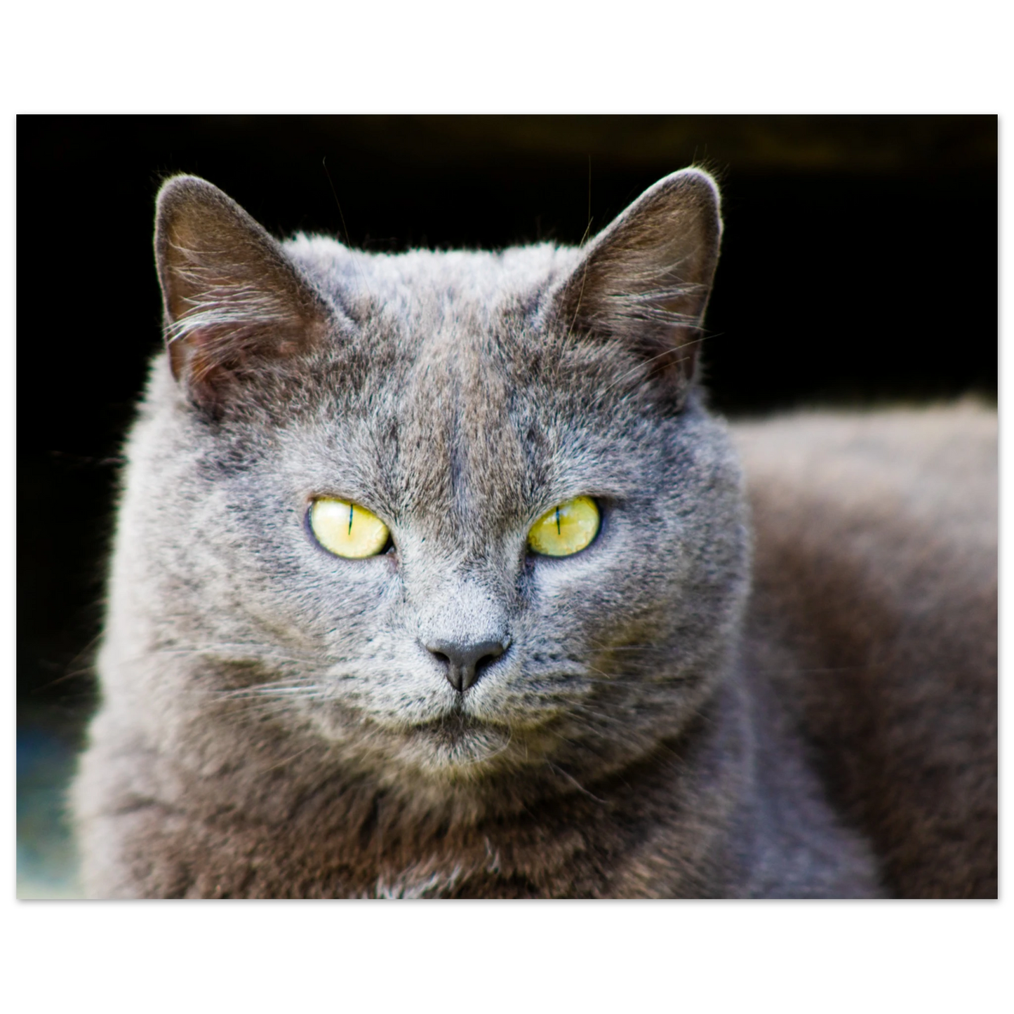 07624cc4-2013-4fed-8a2f-e1ec9abe27fb