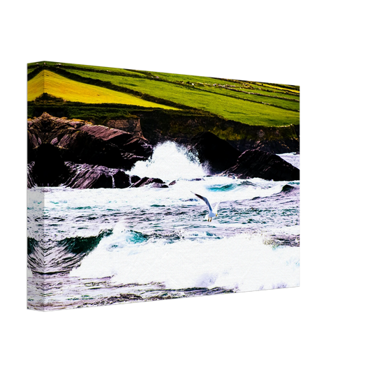 0f836f26-932f-4ca1-bd8d-5c5b28e2a16c