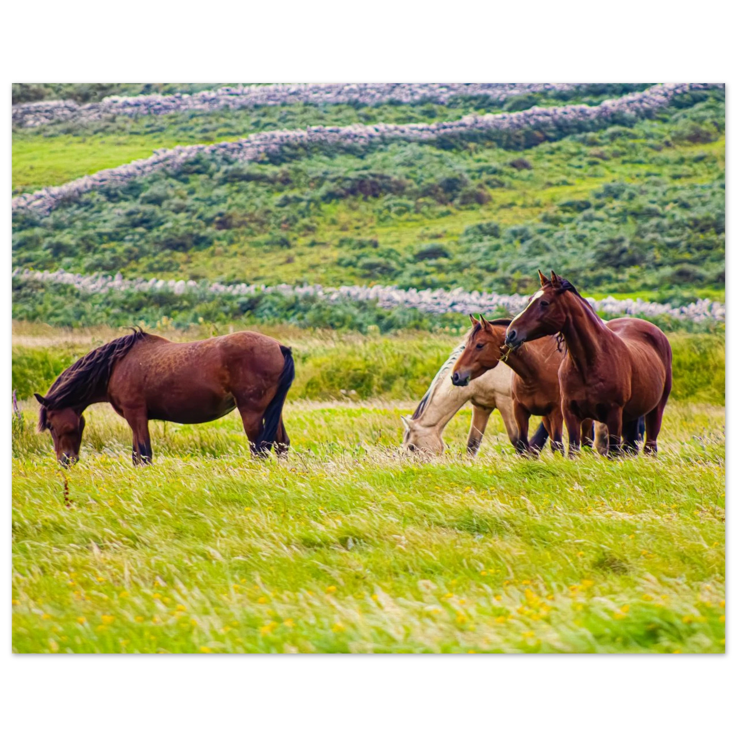 1310ecbf-1b83-4df7-955f-f7bdb078f457