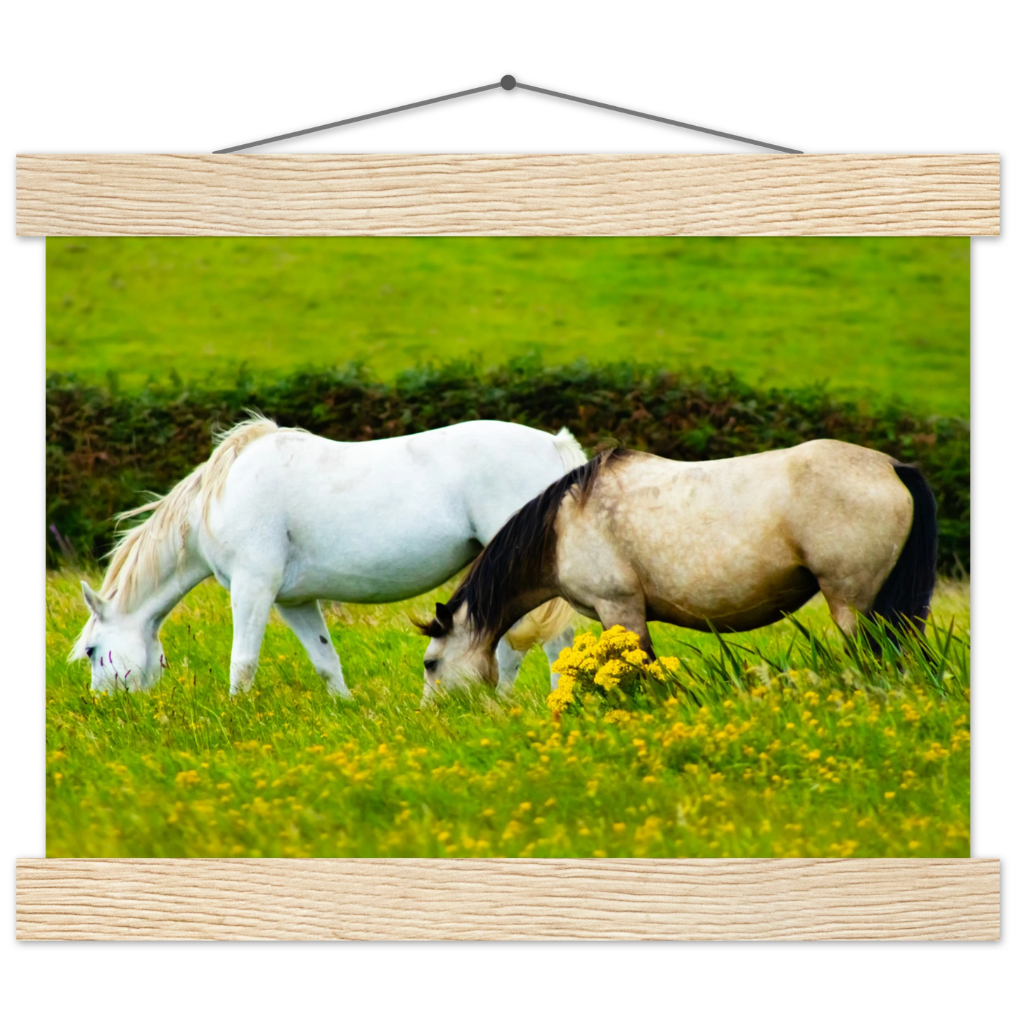 1818abed-d497-4b55-bbfe-93d439e3fd60