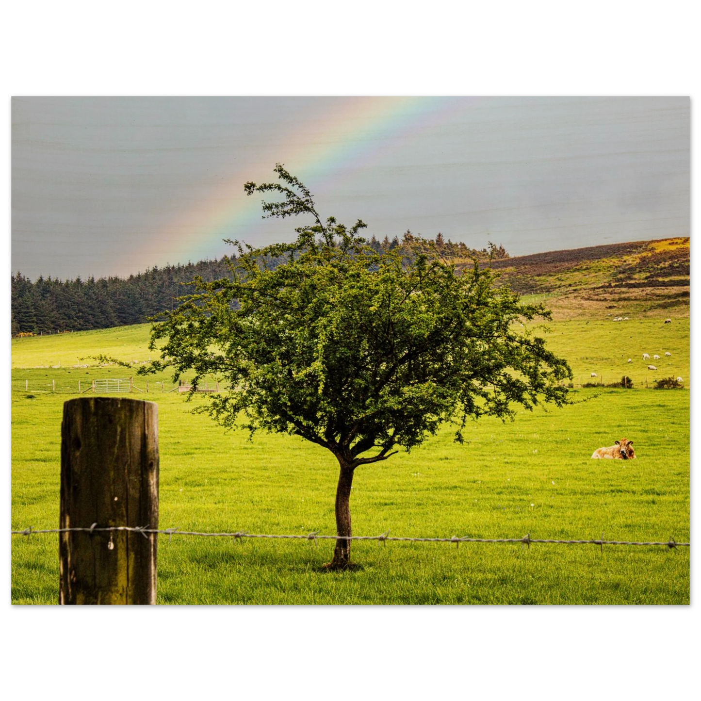 1aa5b919-abfe-4a62-bd0e-5301ff8dd7d5