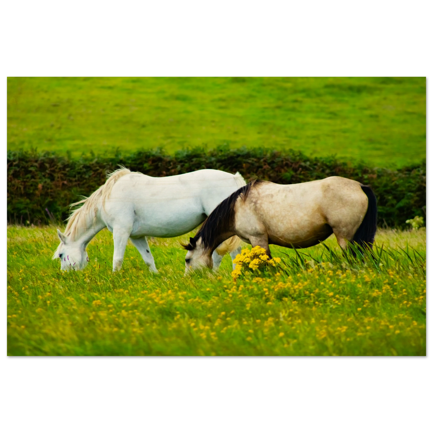 1f281fb8-7798-4df8-b111-47e071361292