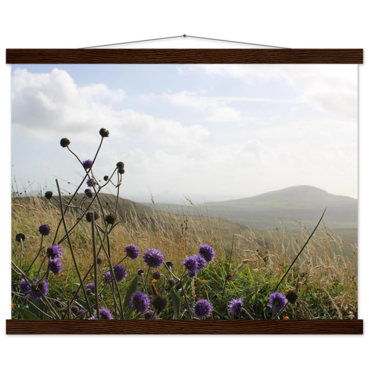 2020802e-8e39-4a05-abac-c015c480315d