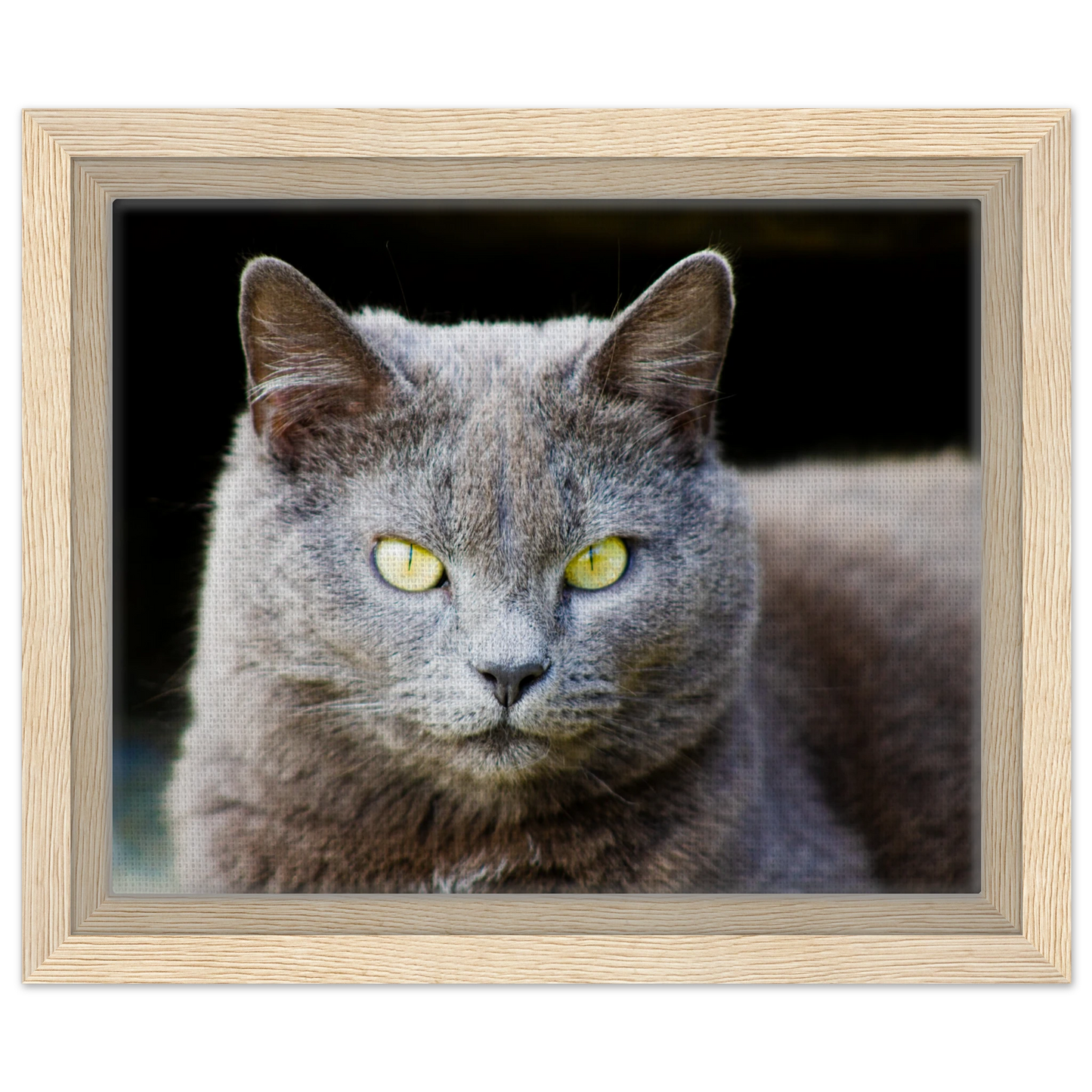 233c6155-f197-442b-bb3d-73c8cc2bb0c3