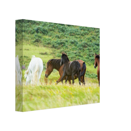 23e082af-e628-4e71-b1ba-e97e4d7810de