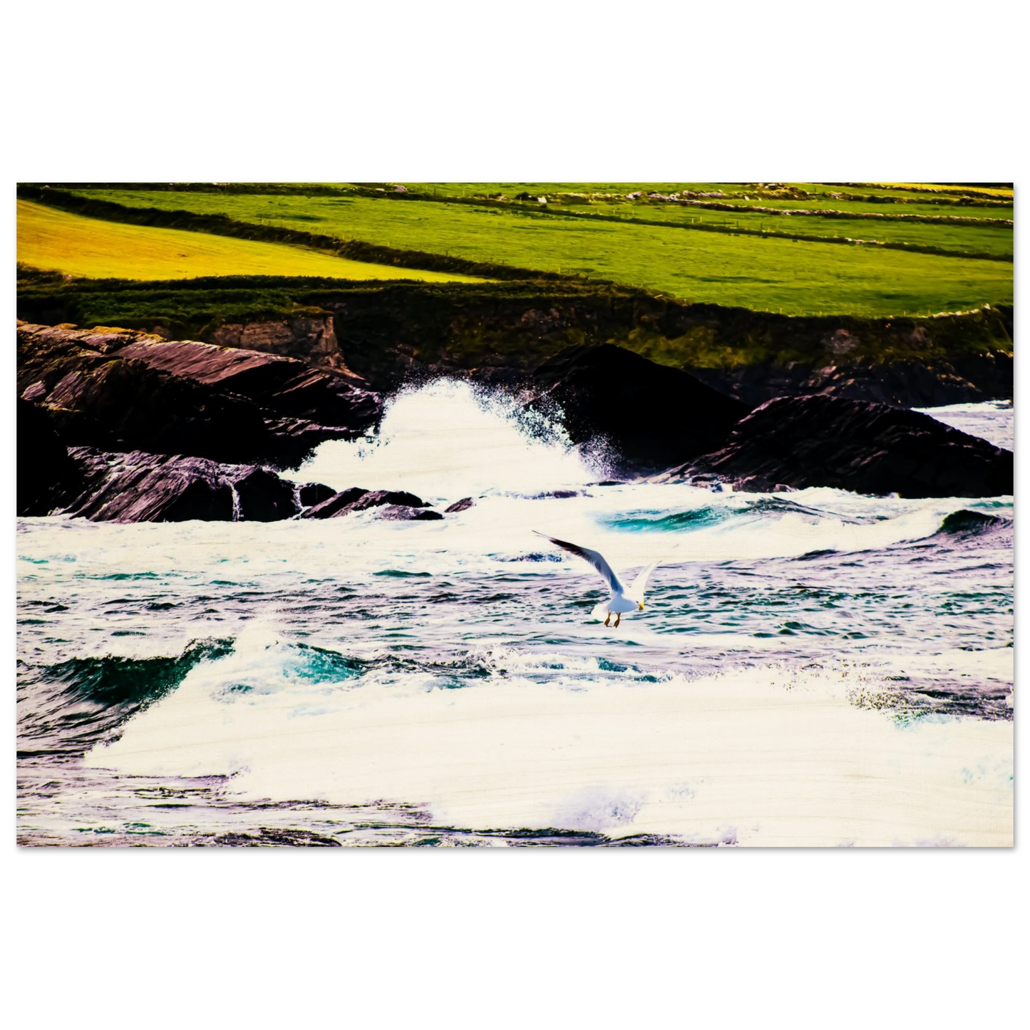 254dcd60-1058-4f38-816d-86ab83098ba3