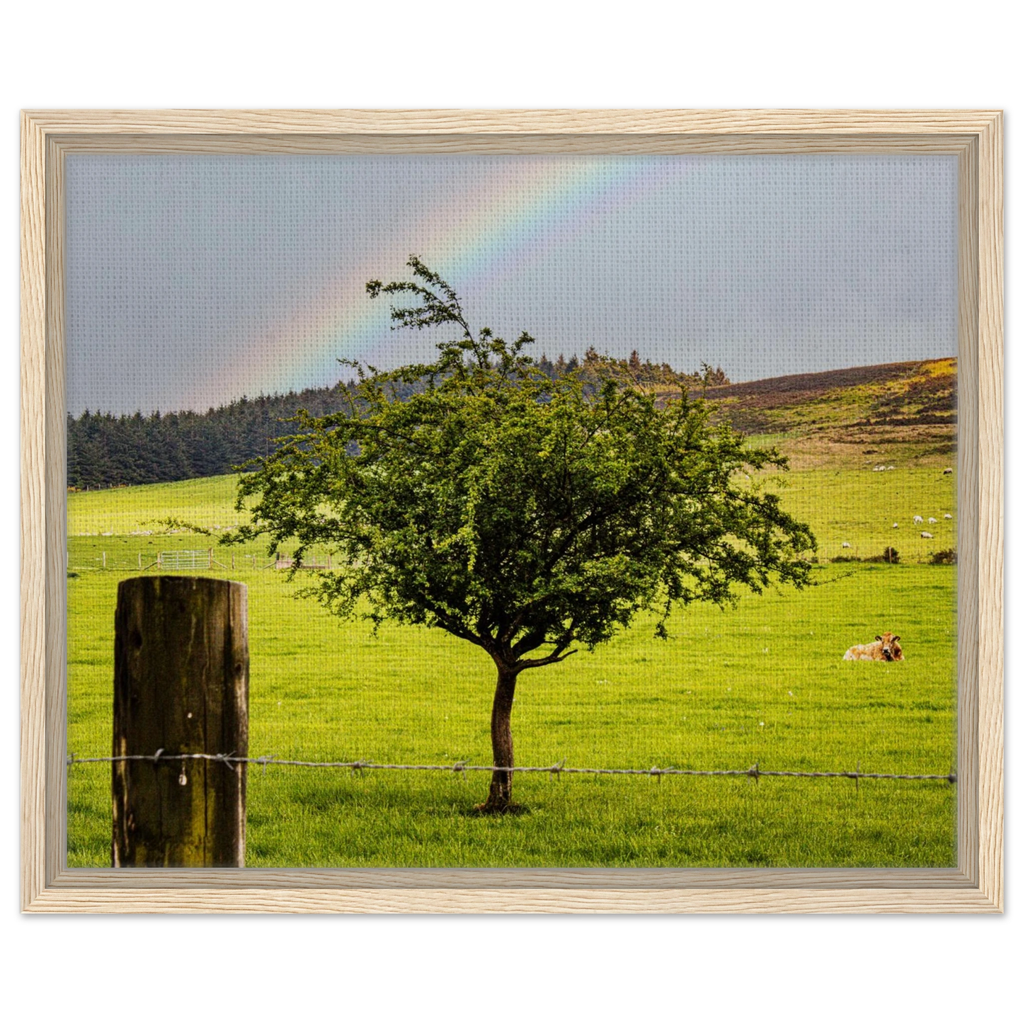 25978a0c-cc38-428a-81b4-76a6db360ac8