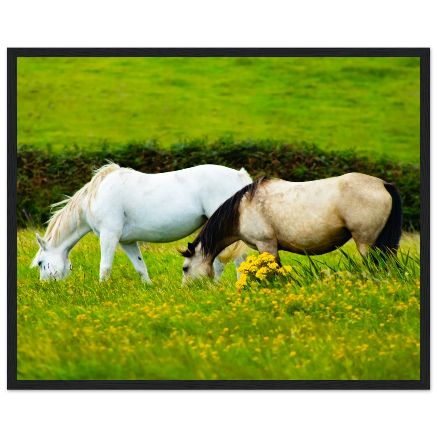 2c9542db-e6b1-4efc-982d-73f6fc207977