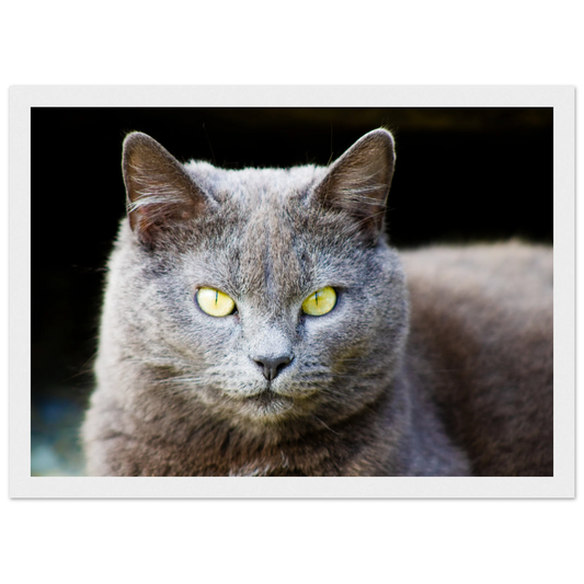 3076123c-a3b7-4dbd-9066-2da7b2ae87a7