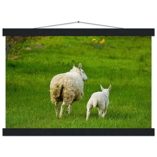 31640004-b3f6-4962-ab99-48a846925efc