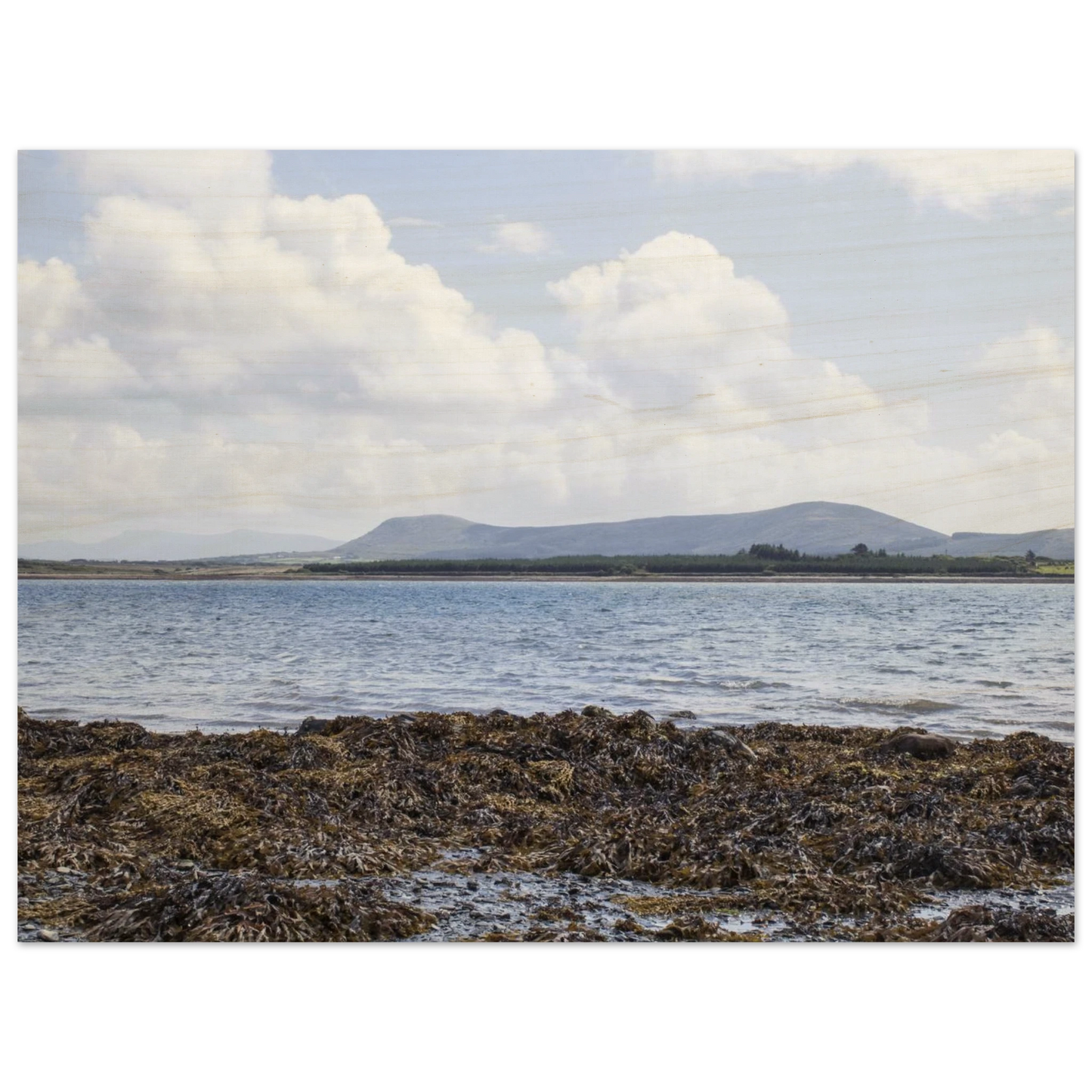 3668ab98-d4ef-4784-b242-d0aad1b09270