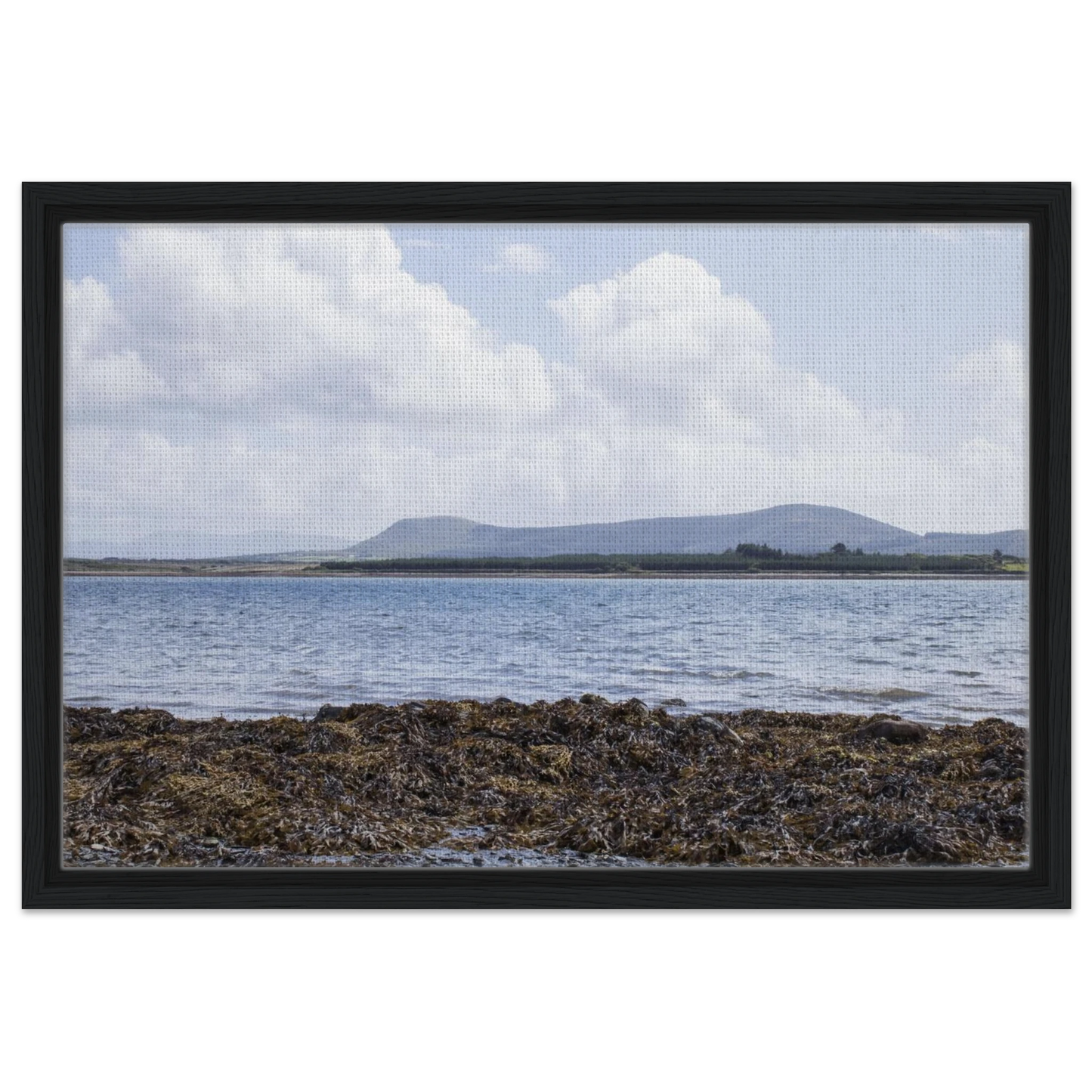 3b0121e9-2dba-4e02-b8a1-1899ed6d206b
