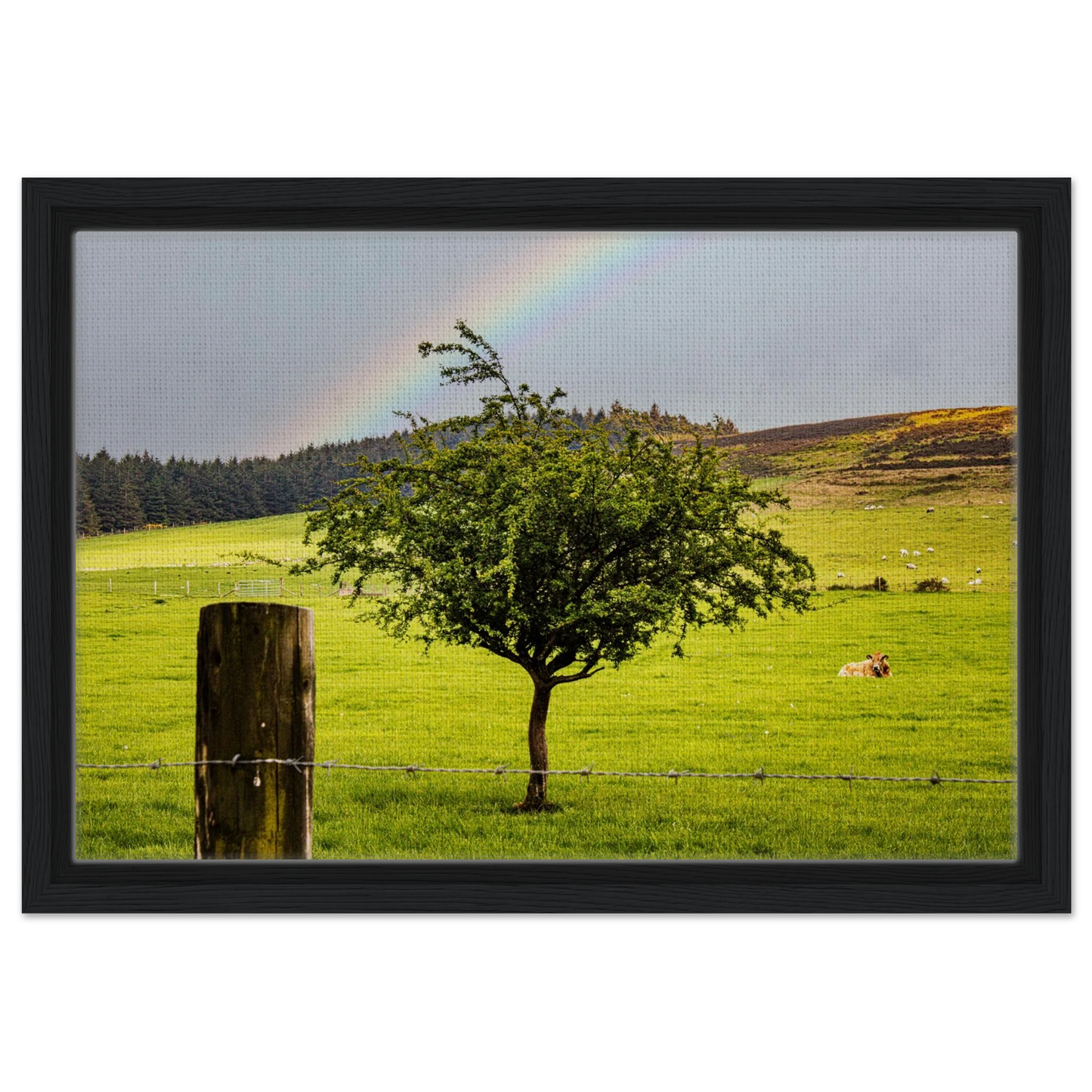 3e4d65b8-8923-410f-93e5-2e3ef206ce46