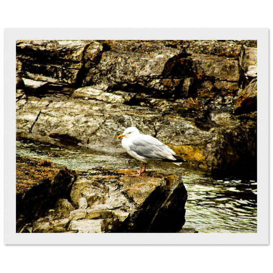 497aca8b-1e75-430c-a295-dfac237ad396