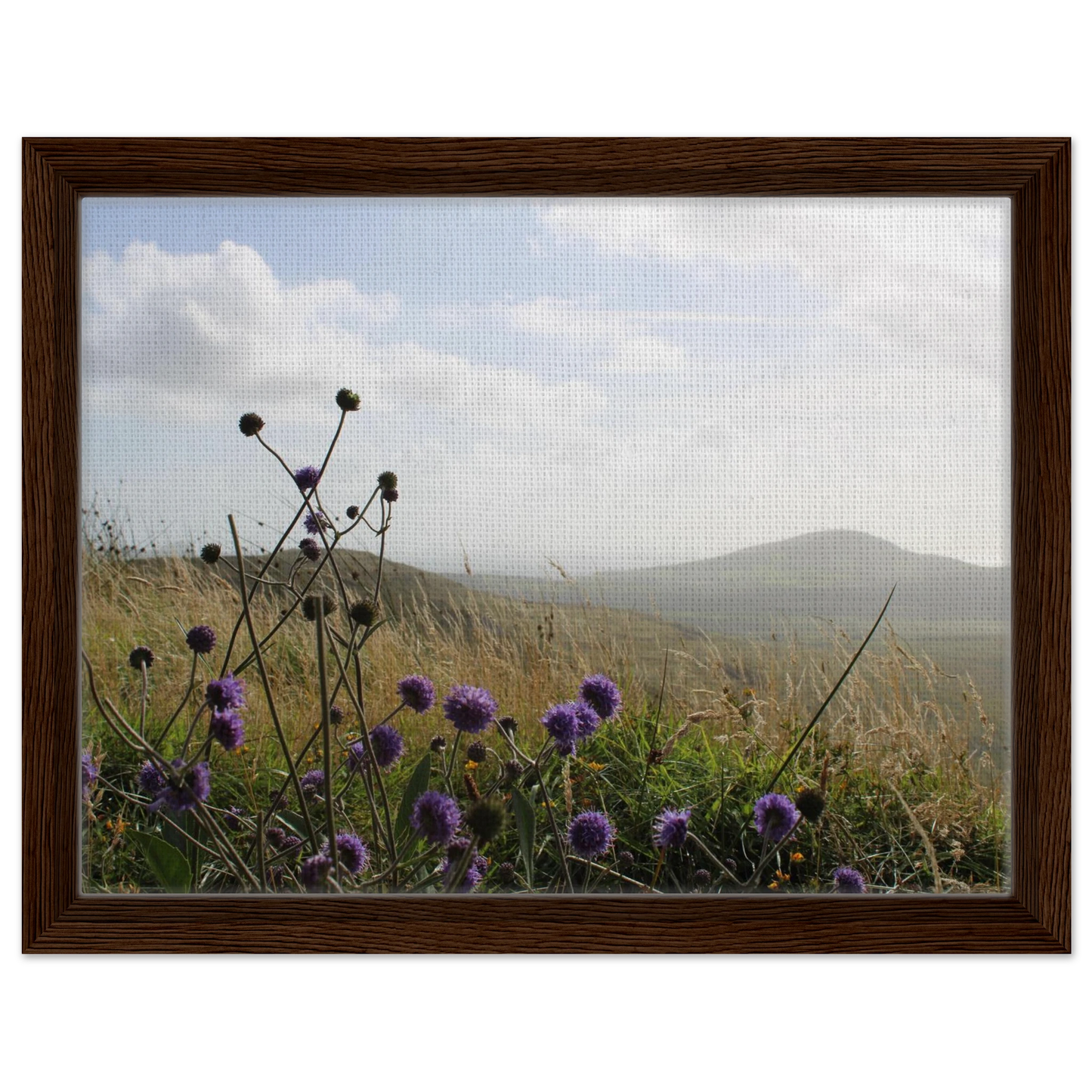 4c65080d-8da9-41cc-a59a-f54c7ee07a8c