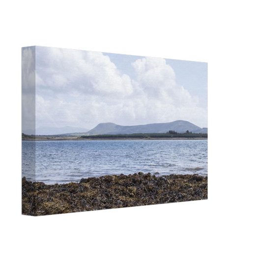 5c1b84c2-637c-44fe-8442-629b4440abd8