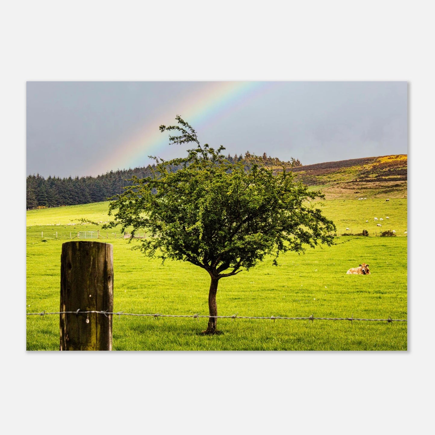 5d7ff5c6-4b90-44ee-8150-4df6209b2ae8