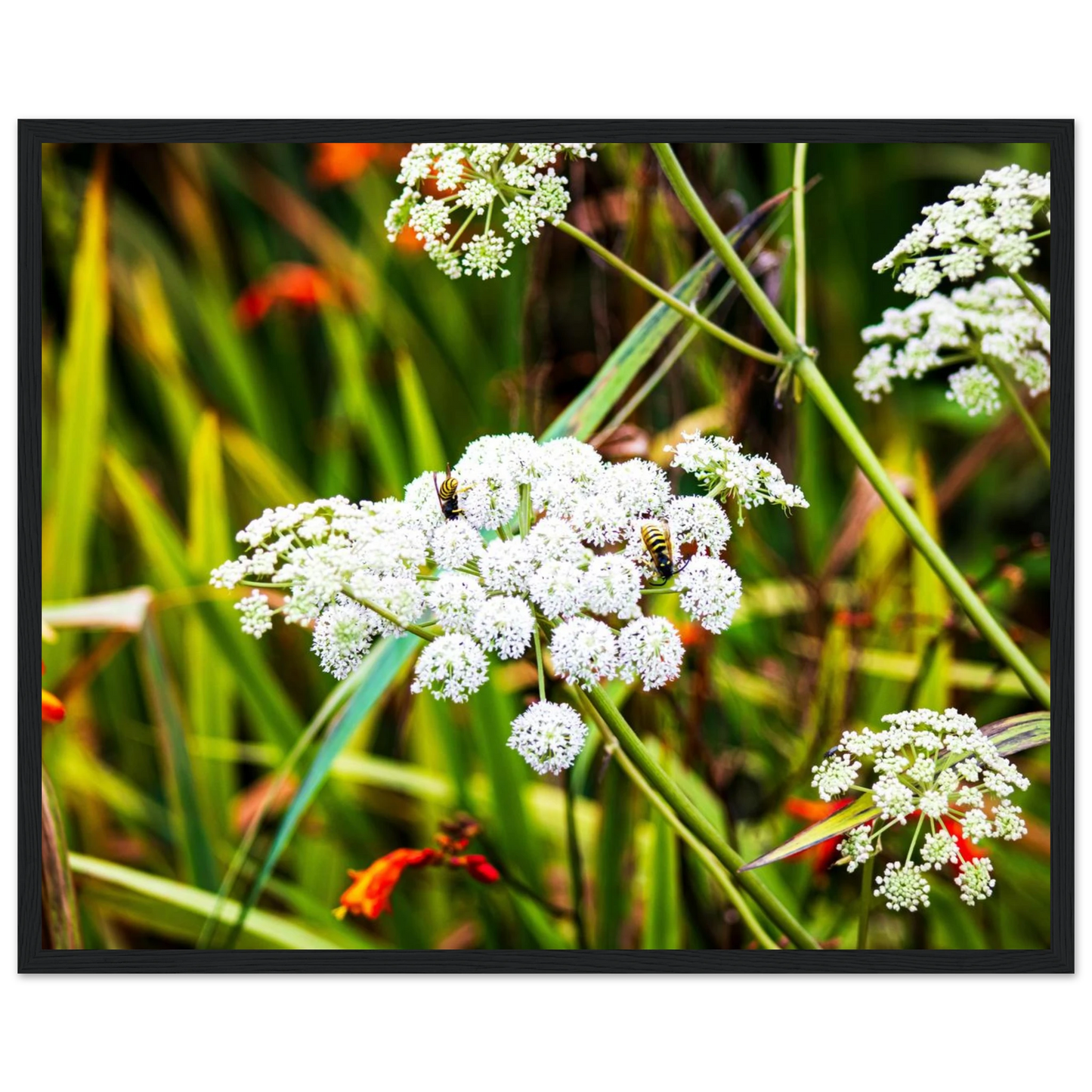 62c15464-d629-4059-b969-b96cc66ef5a9