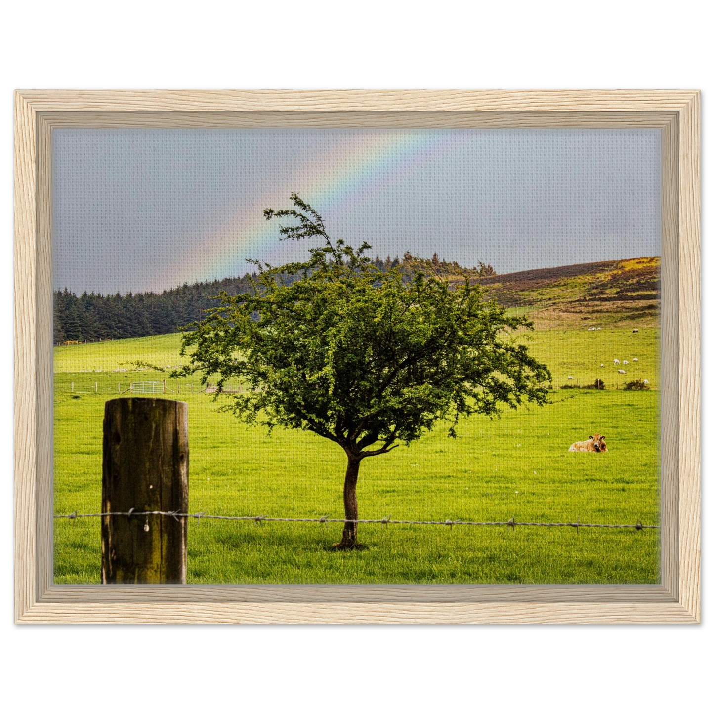 6ab158c7-2d97-41a5-bbf7-d0edc8384cd5