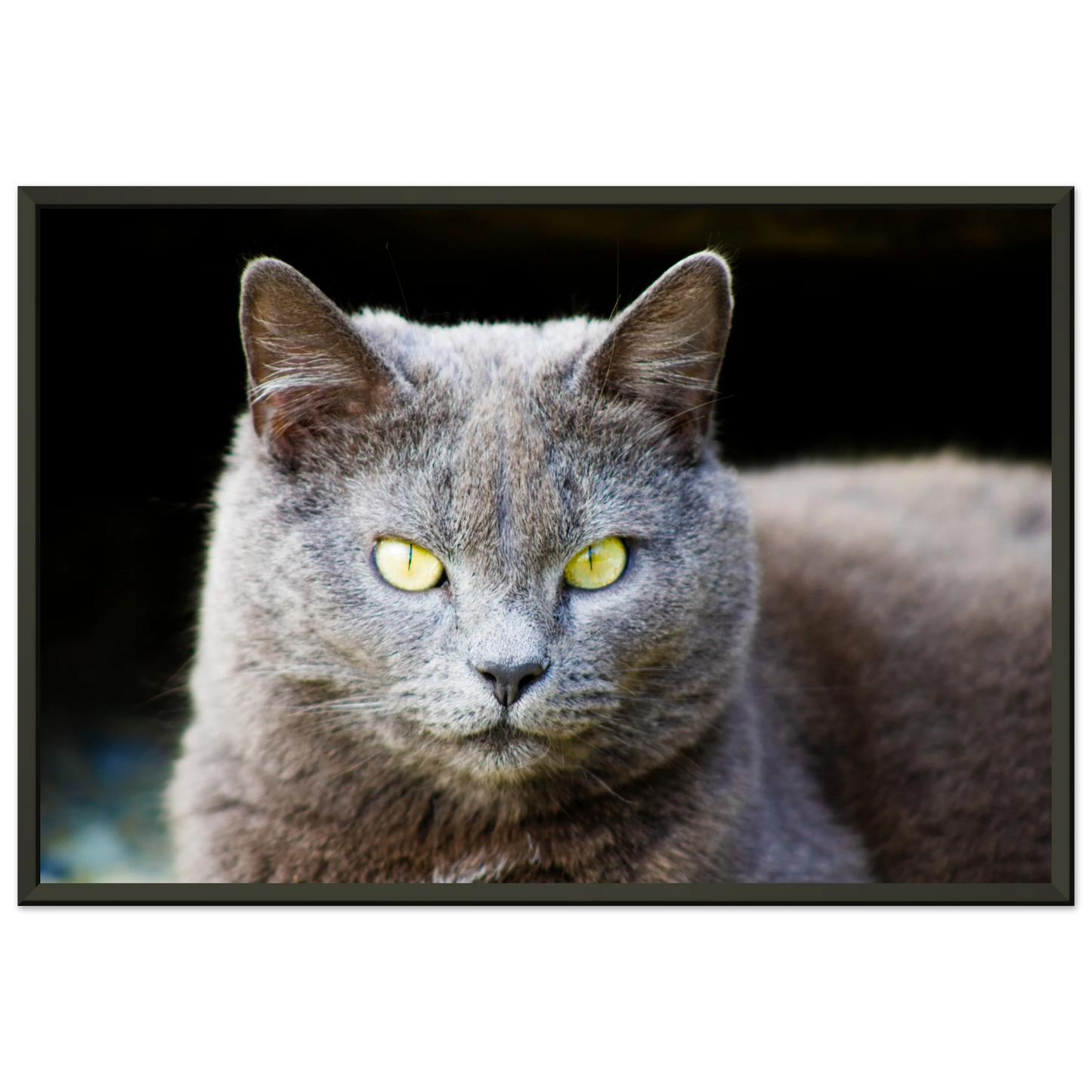 6bd6632f-01dc-4642-884c-1cf1956b55b8