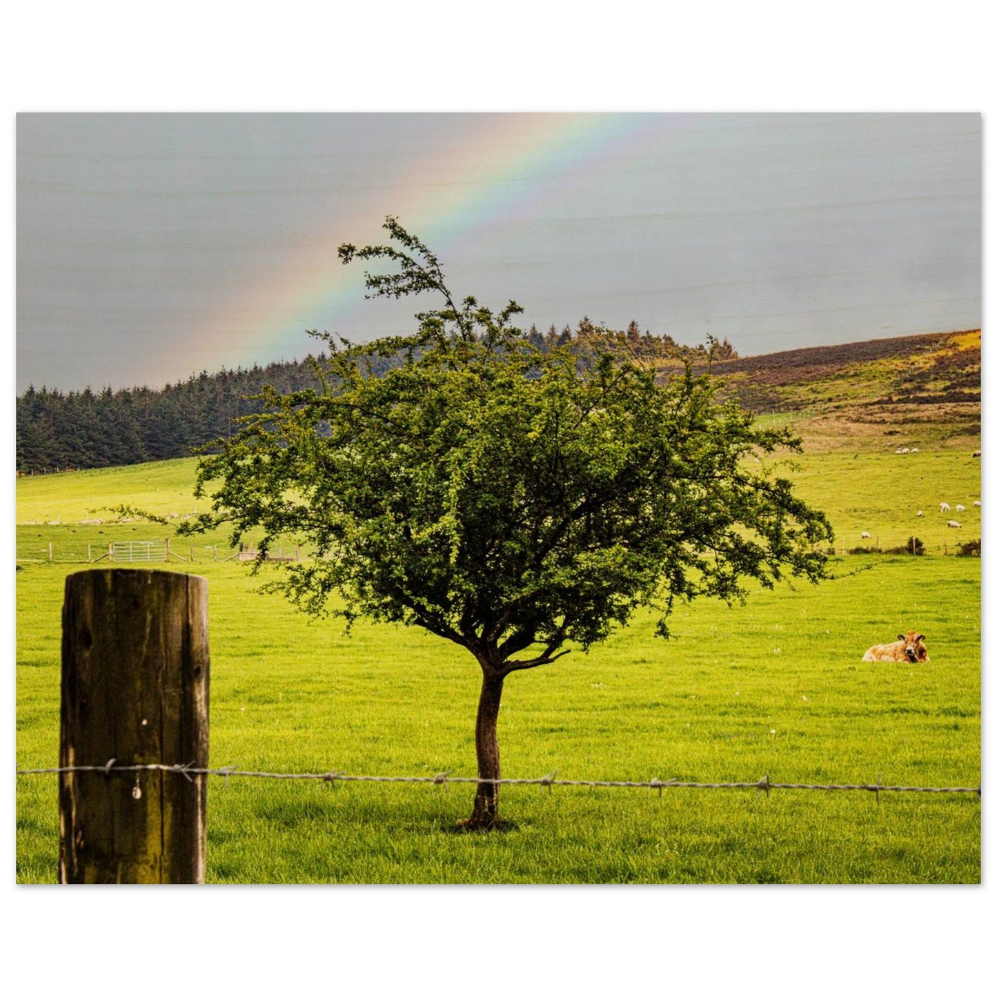 6f341f14-758d-4aed-886d-82b57e339bf4