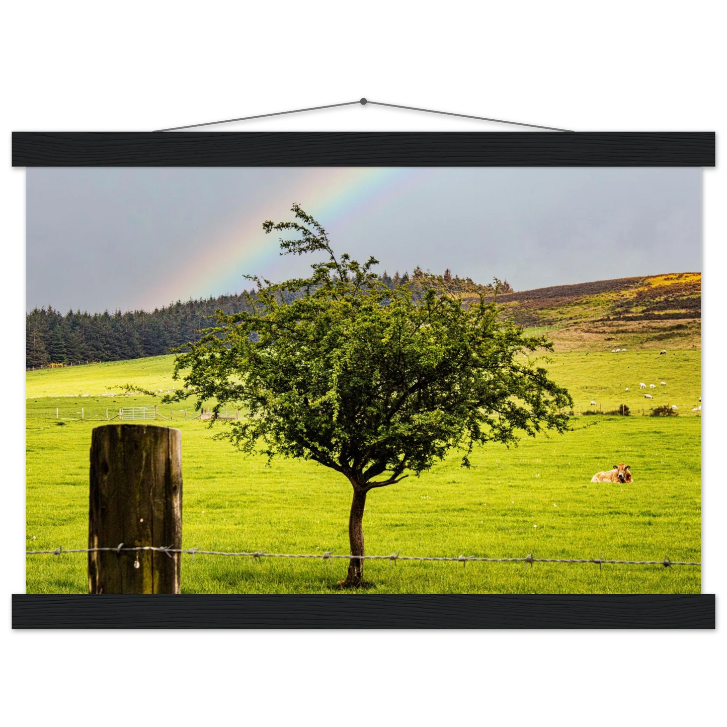 70df9521-21ac-4b84-8ea1-7e9b3330fa43