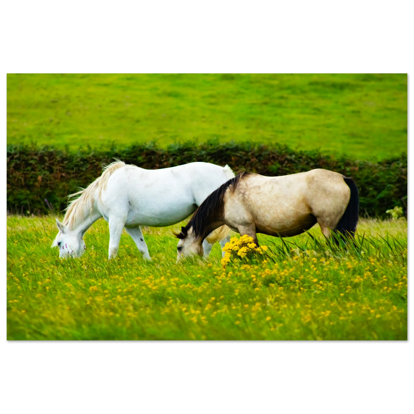 71b2df8b-d586-480e-9da3-53a1d77739d4