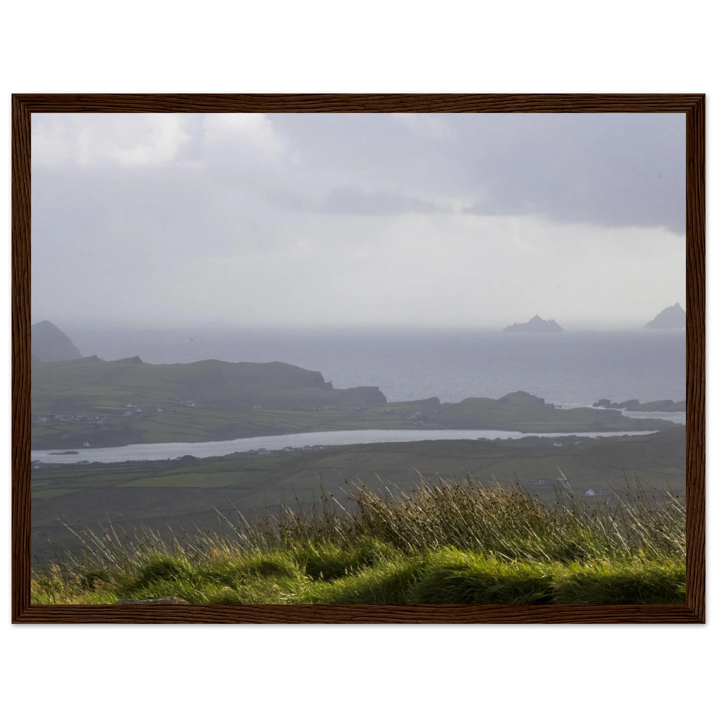 8168d667-ca03-40af-bdb0-fe0a06b0b1f5