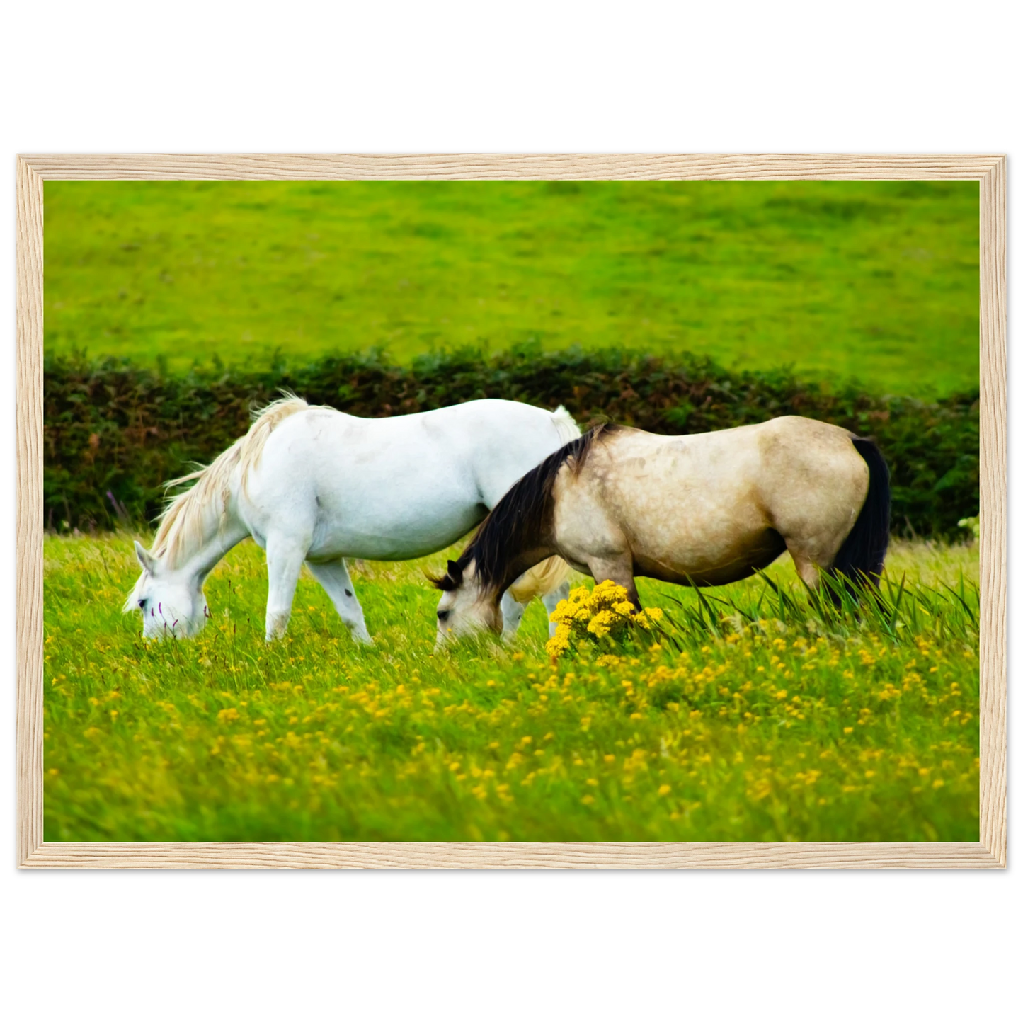 848d8cbf-ccfa-4281-a9cb-fb5686a15b34