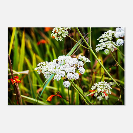 a5ca6ab2-1308-45ac-8b6f-2e987653ace3