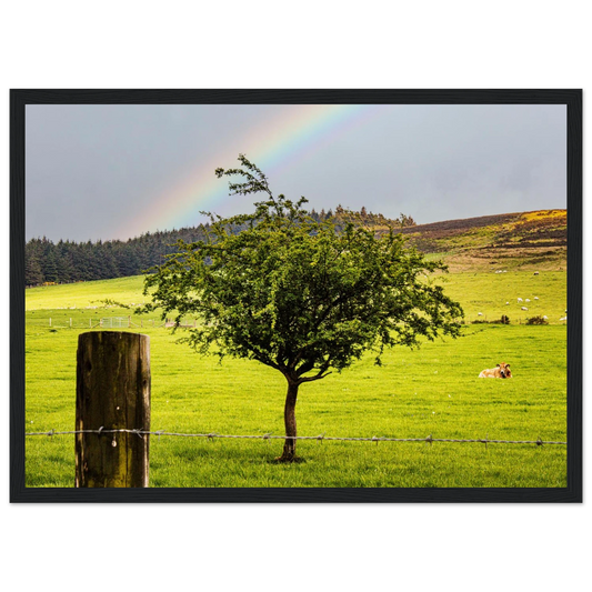 ac53e3a8-5697-49b1-a20e-6a4fad957a7e