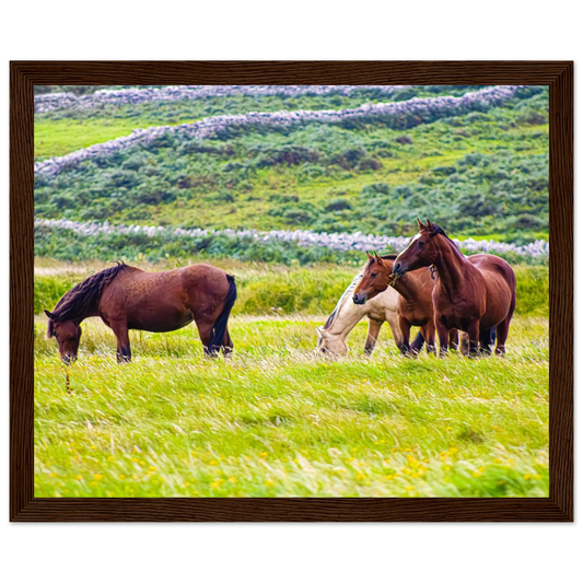 c02e1bb7-5a2c-4dac-8903-2ea4b6017d5a