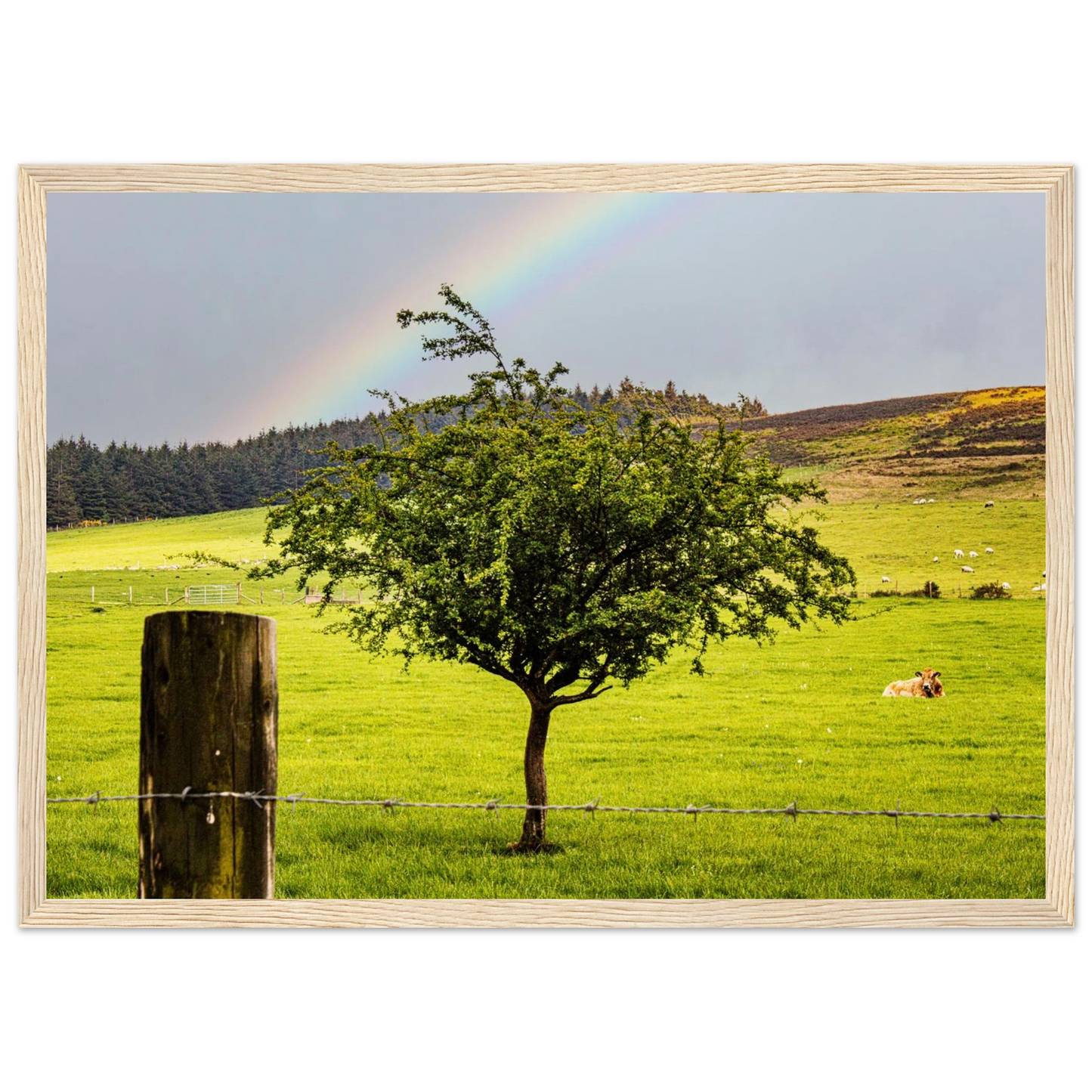 c0c784a1-adac-48cd-a7d0-c1c68c73ee62