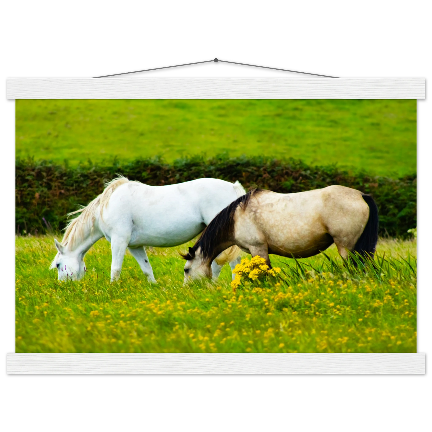 c290e770-b4f7-4528-83fb-78fe2fce2310