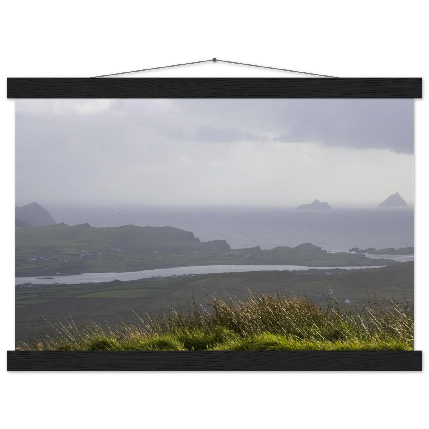 c3d27986-f6c8-40bb-94b2-e1f818232768