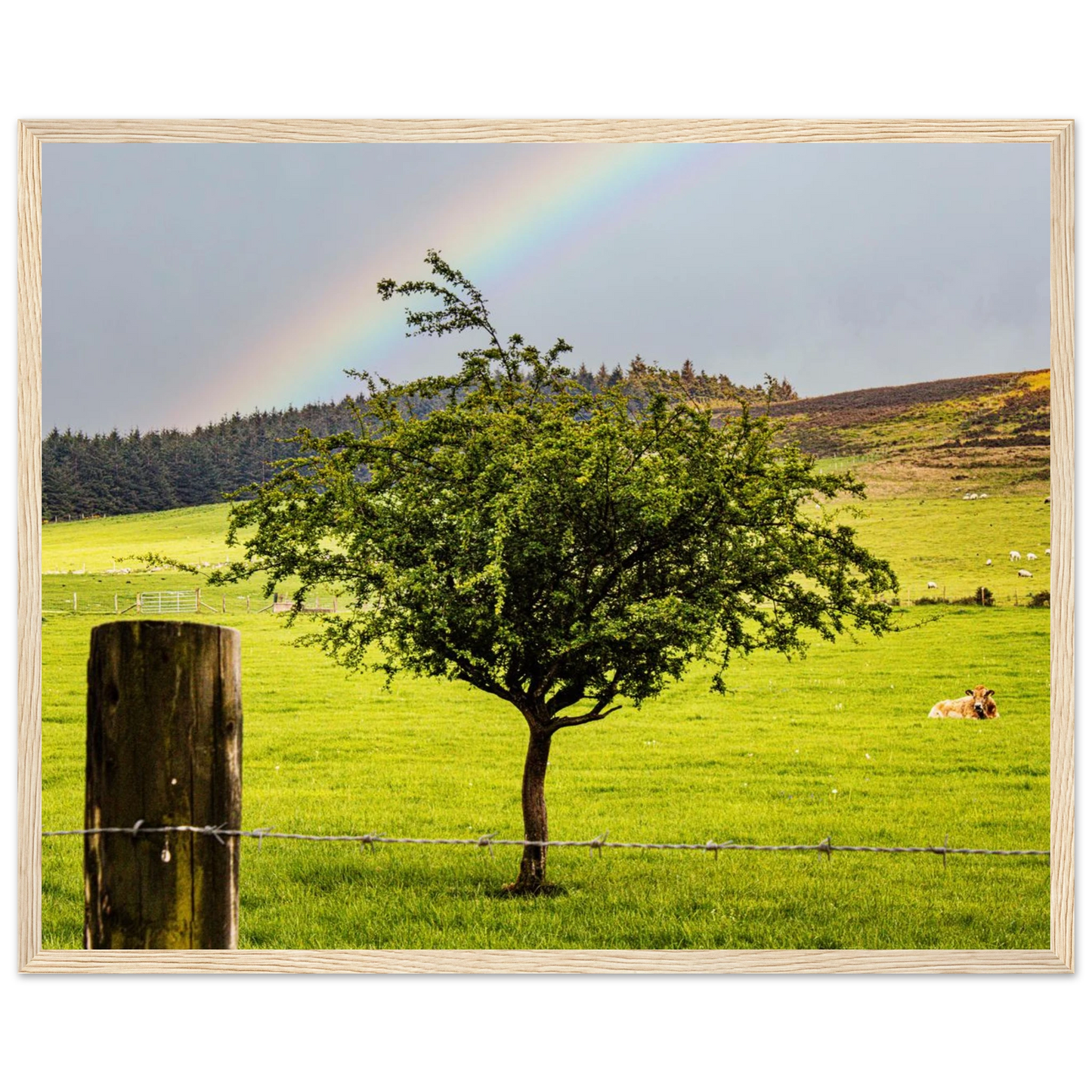 c7bf3493-f217-4e06-a117-0a54094c0b62