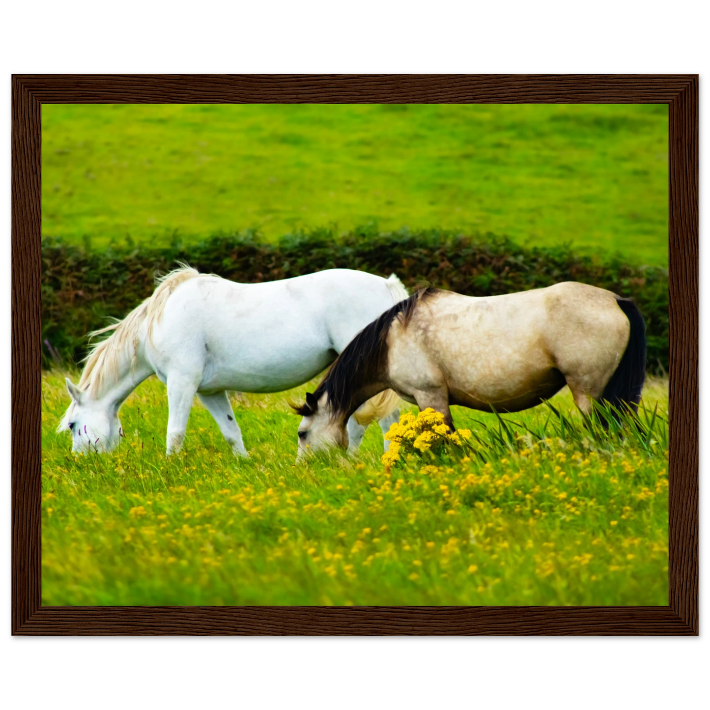 ca941114-9069-40b2-8cfb-db3882e1fabd