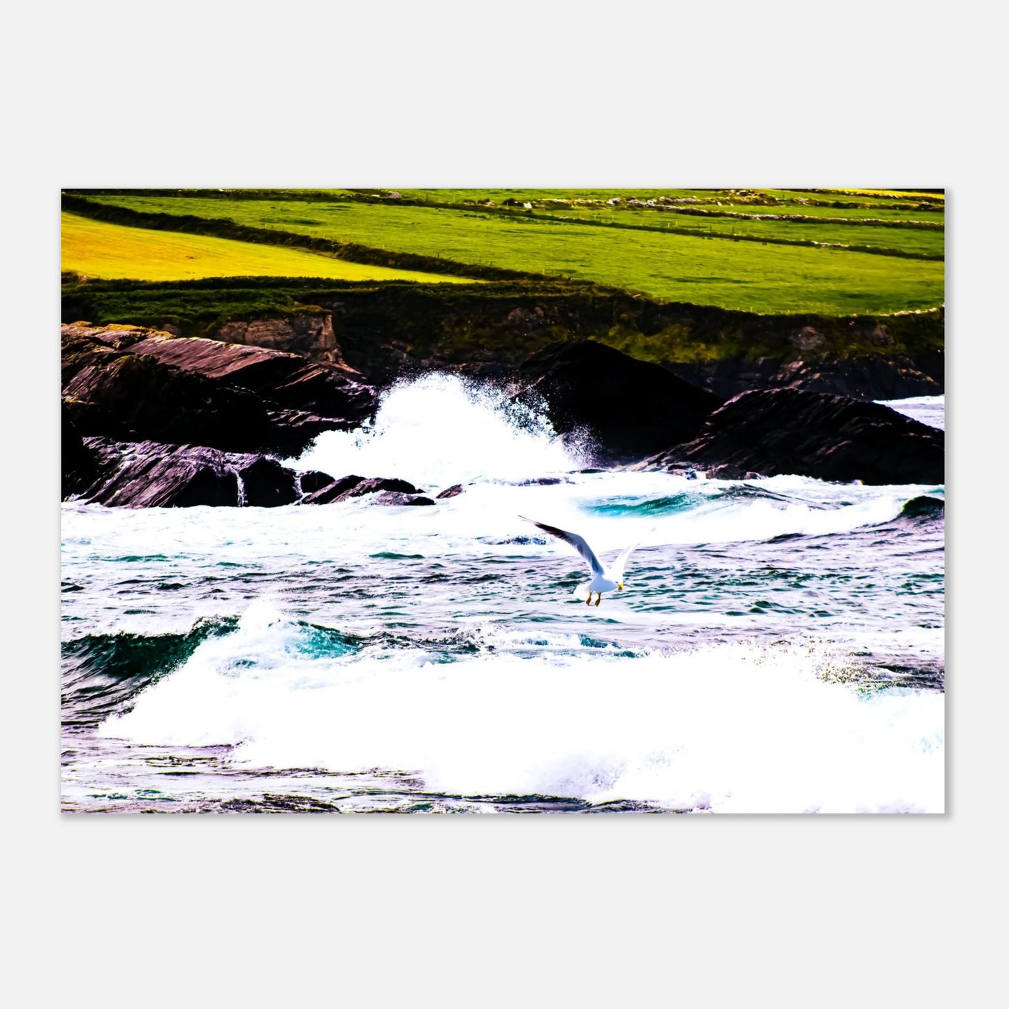 cc7366e8-1447-4f61-a2be-04e62ee4cfff