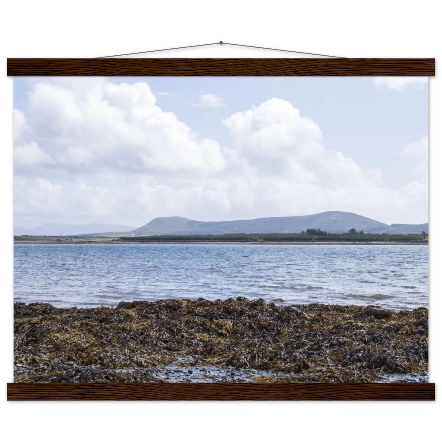 ccf772d6-f260-4aac-af0f-ab2e2b4cffe4
