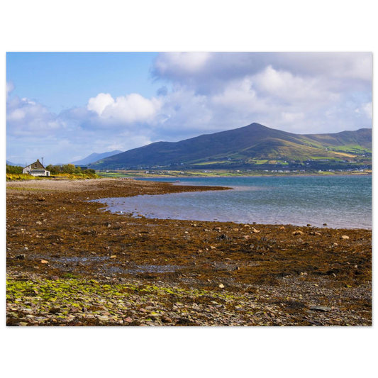 d1b26b5b-f76e-466a-a22b-349f45a79332