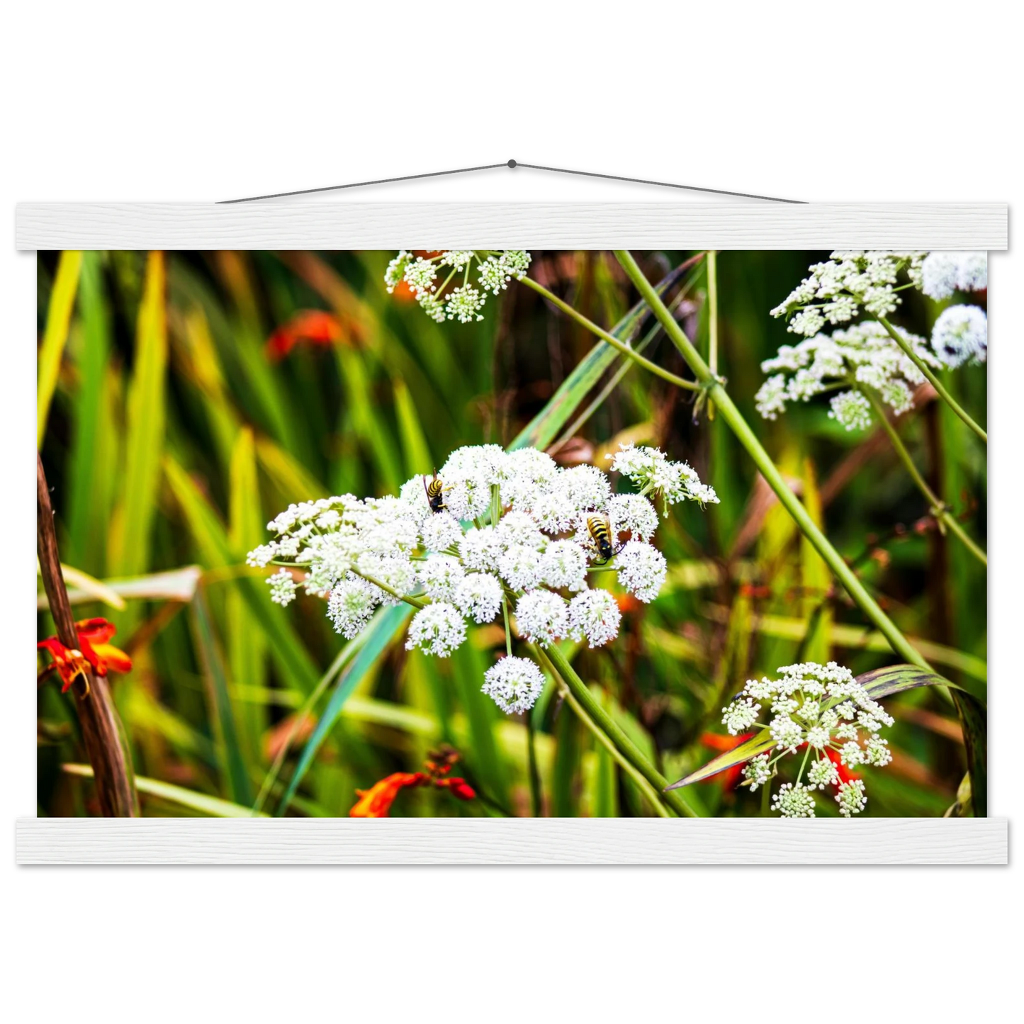 d502579e-d687-4fd6-b4fd-6eade4bdbe36