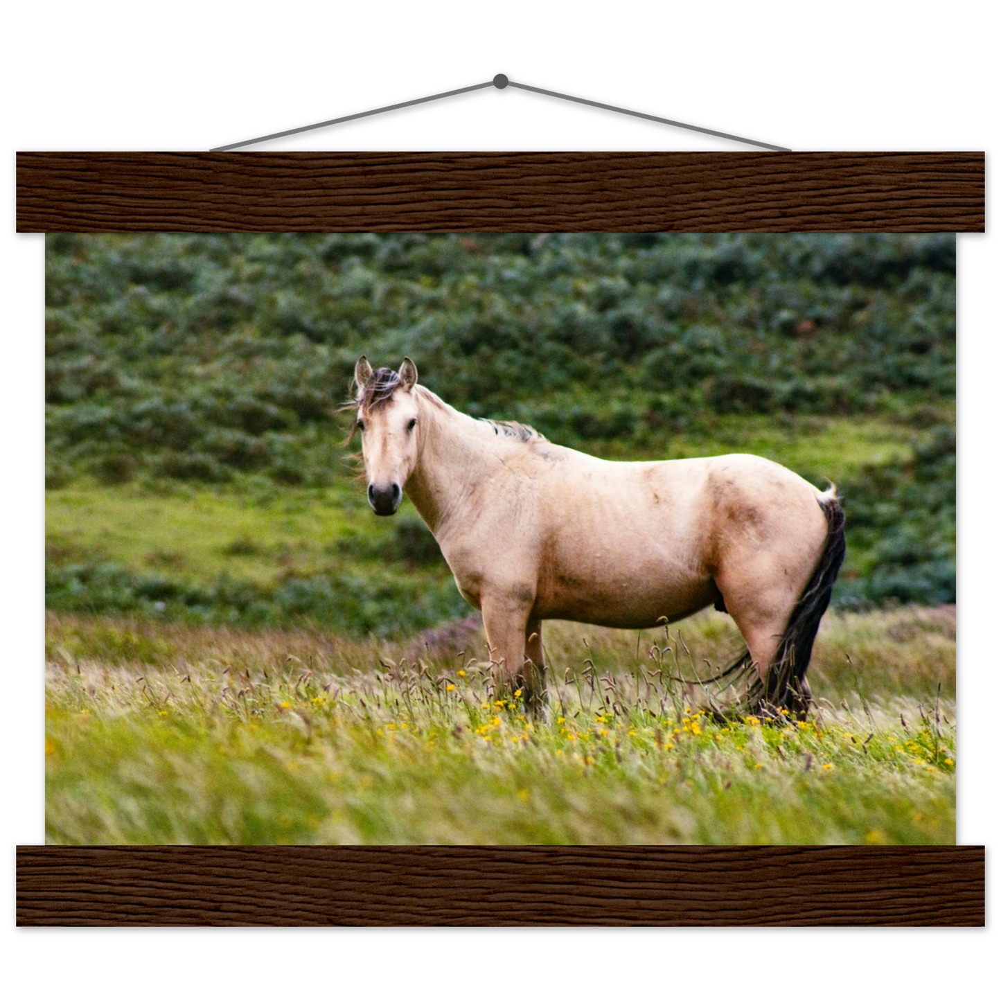 d8ec2217-51fc-4fff-aa23-08eb3231b30b