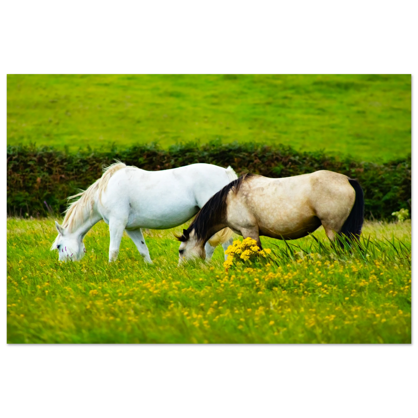 d9aee71b-0761-49a0-be4a-0ea757bb7551