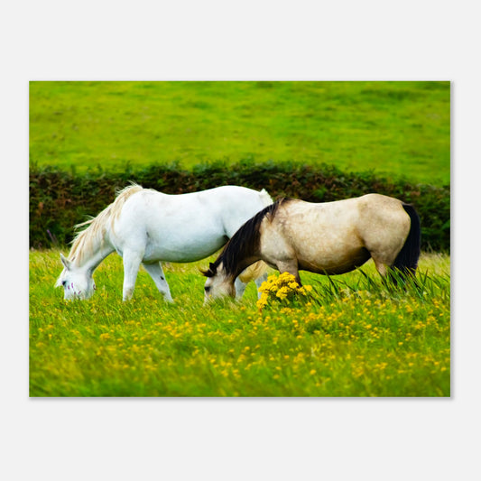 d9bb76e6-aa6f-4ab8-981b-8b79fc4a0b67