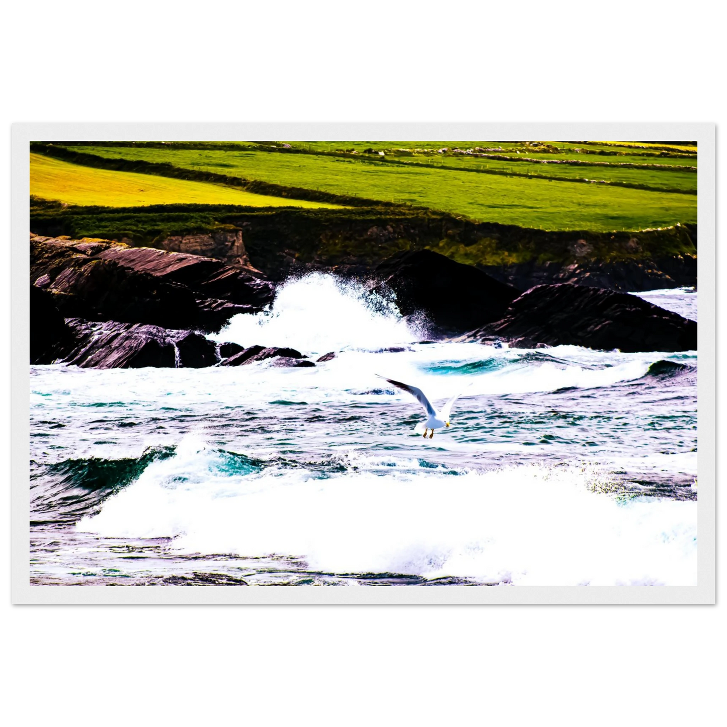 dd94ff93-2849-4a80-ba01-852275712393