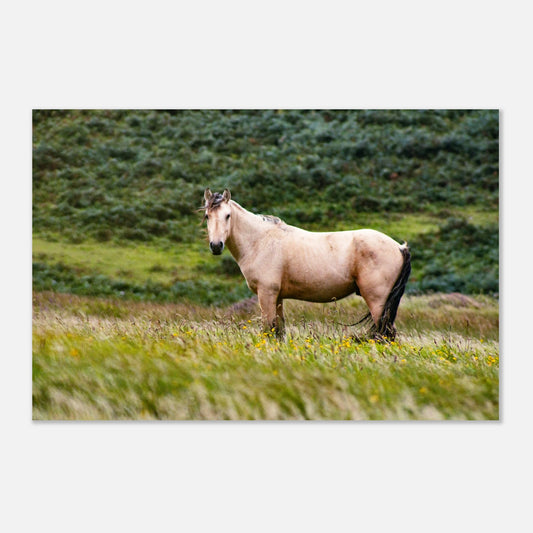 e5b3ab7e-c1b3-44a2-8930-16a891eb1997