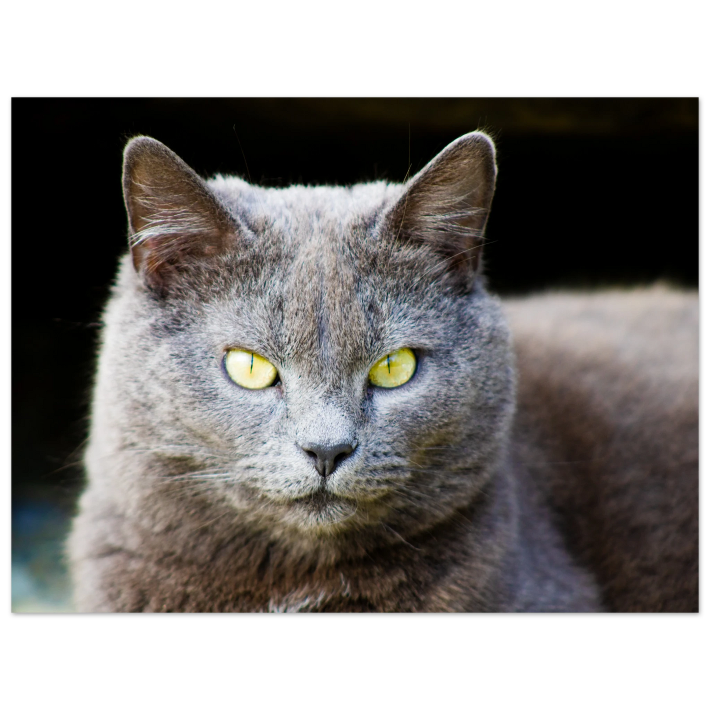 eb120078-19c3-402a-891b-a5b8592fcb4c