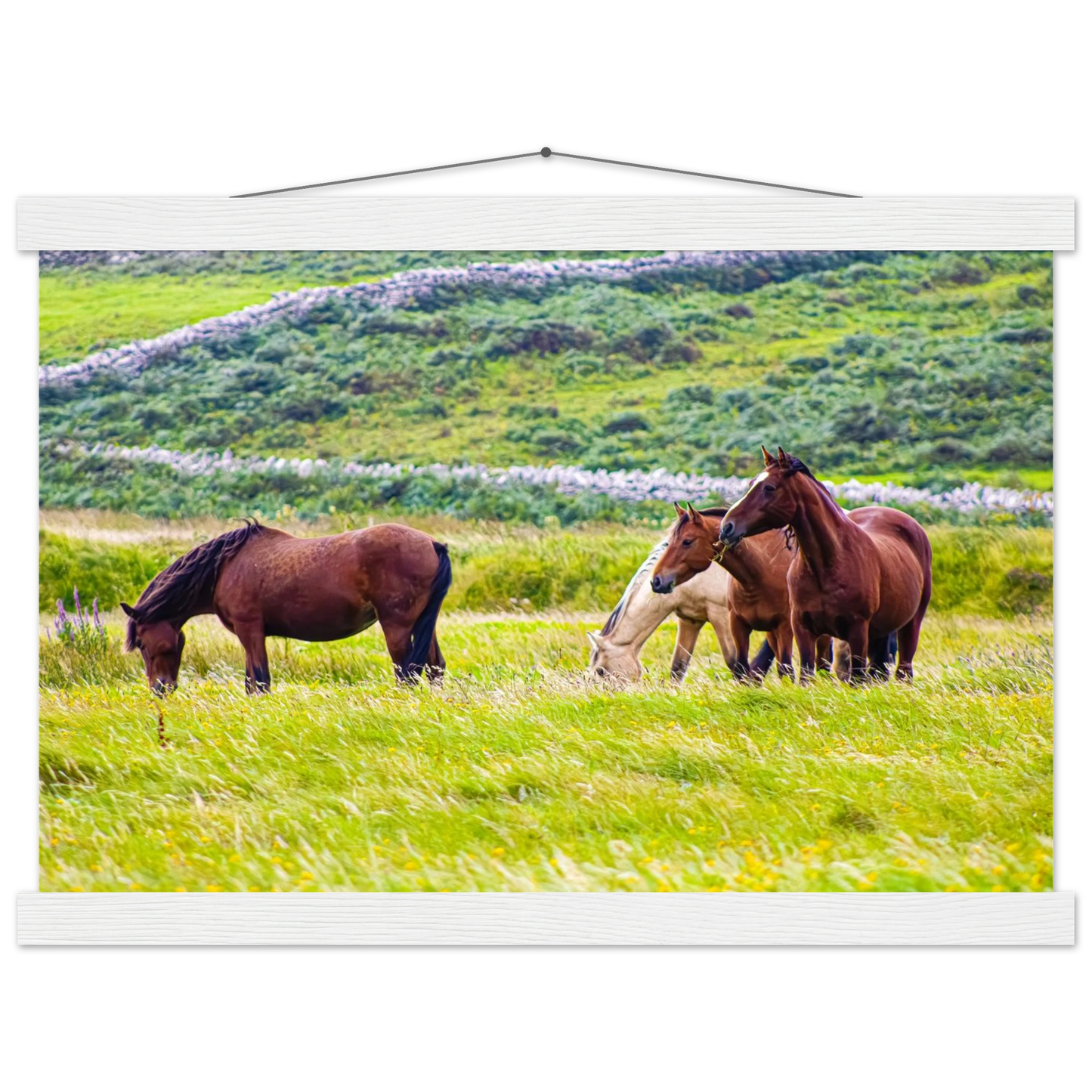 edbea196-57b8-4803-bcd9-1cffde2dee53