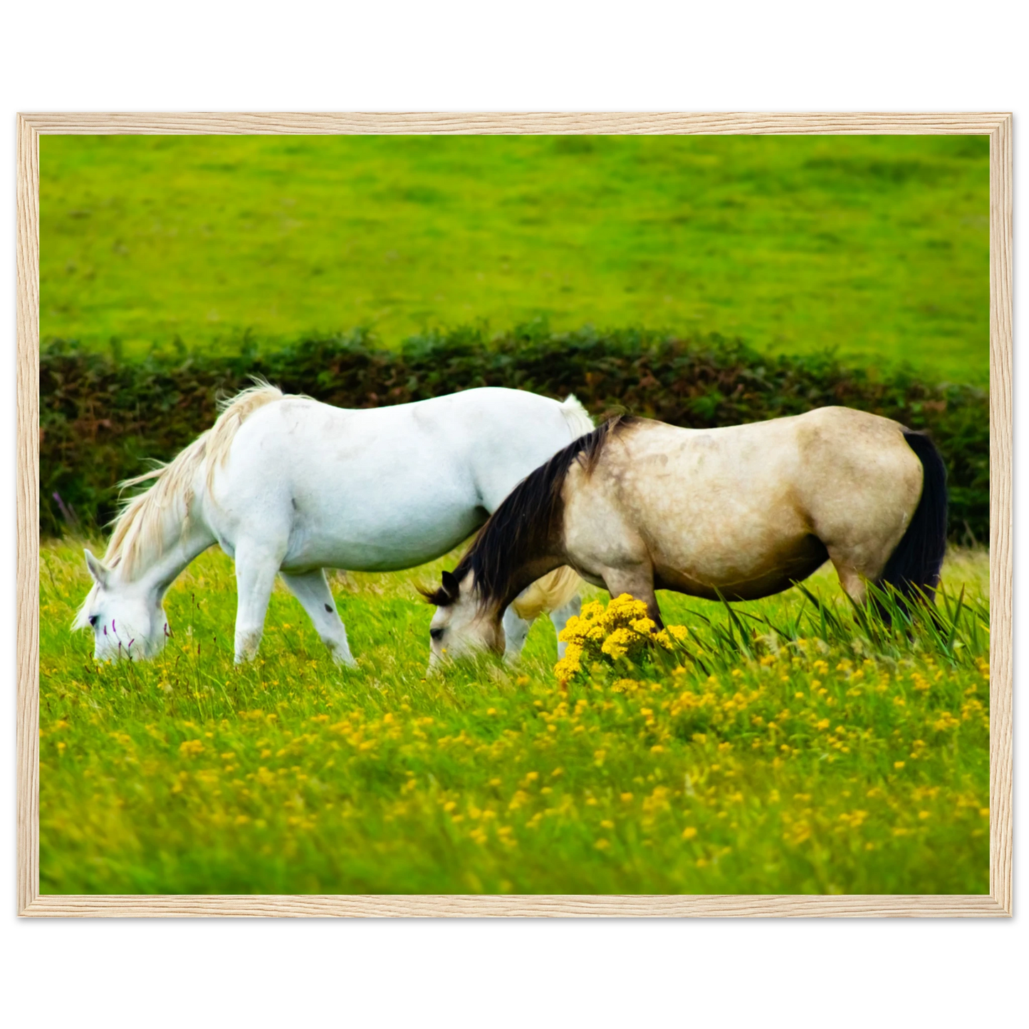 f3c08270-fcd9-4ce3-abed-24ea7cb47c24