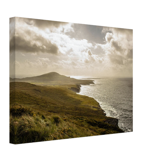 f79c4bcd-8c5d-4f5c-8f80-d2569b8b529b